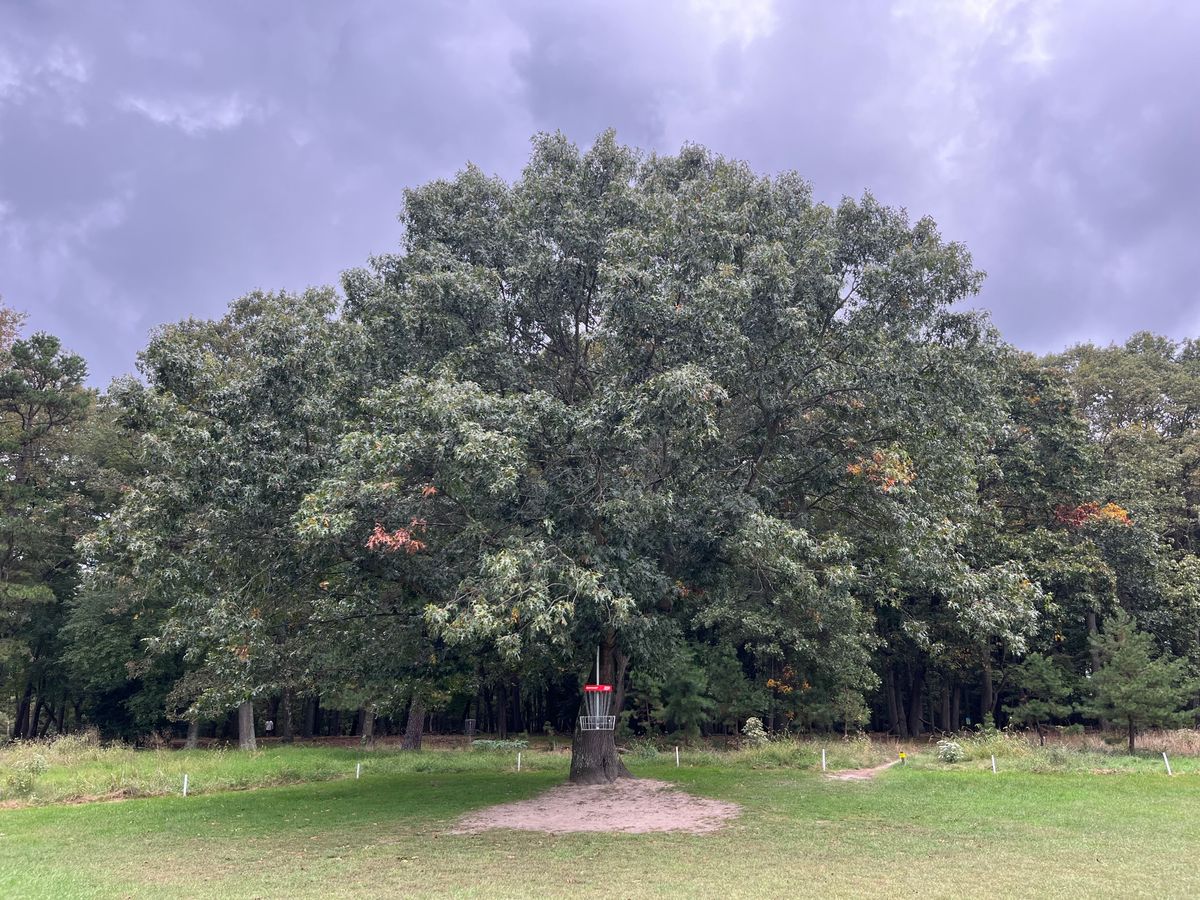 Hole 16