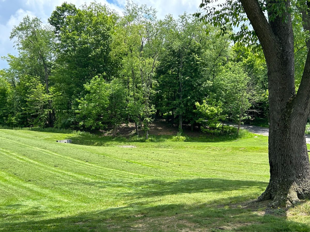 Hole 10 fairway basket straight ahead