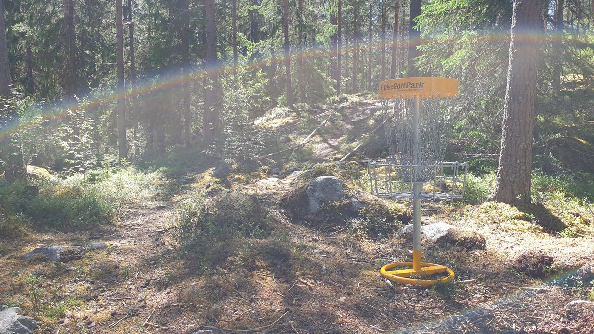 Hål 5, par 3