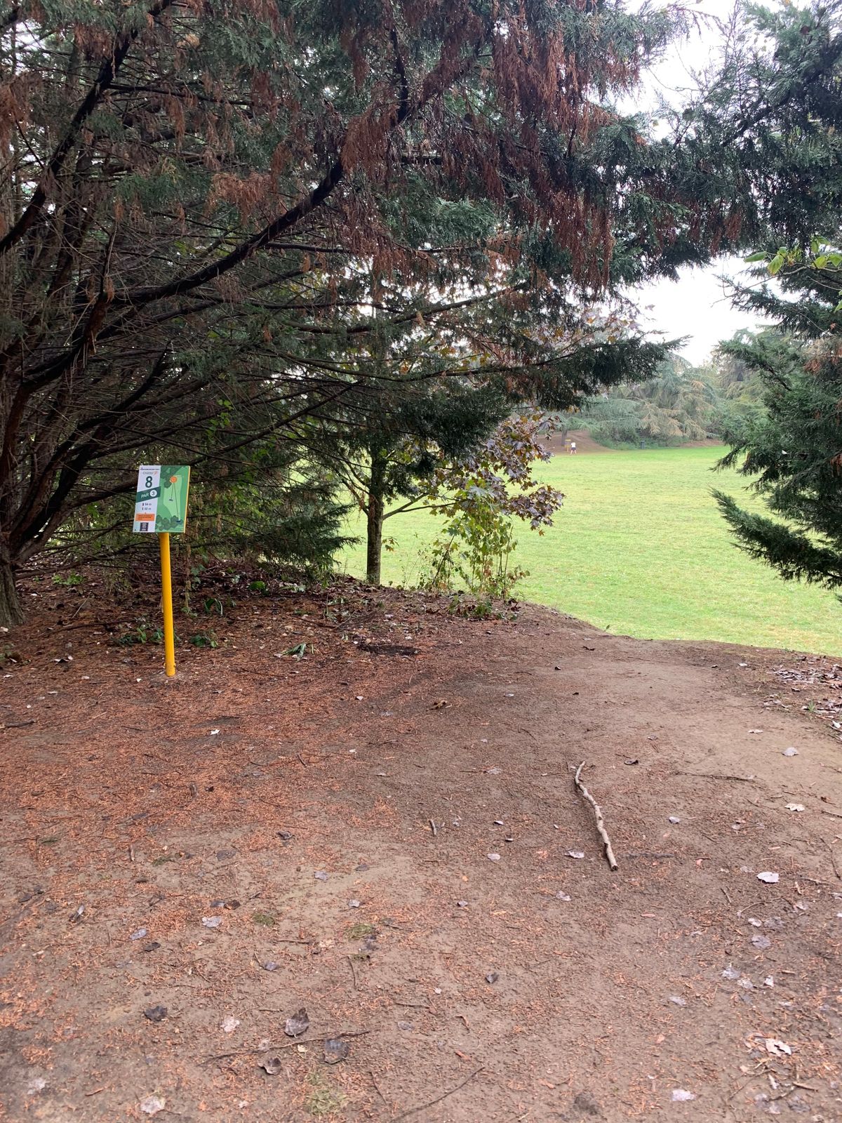 Hole 8