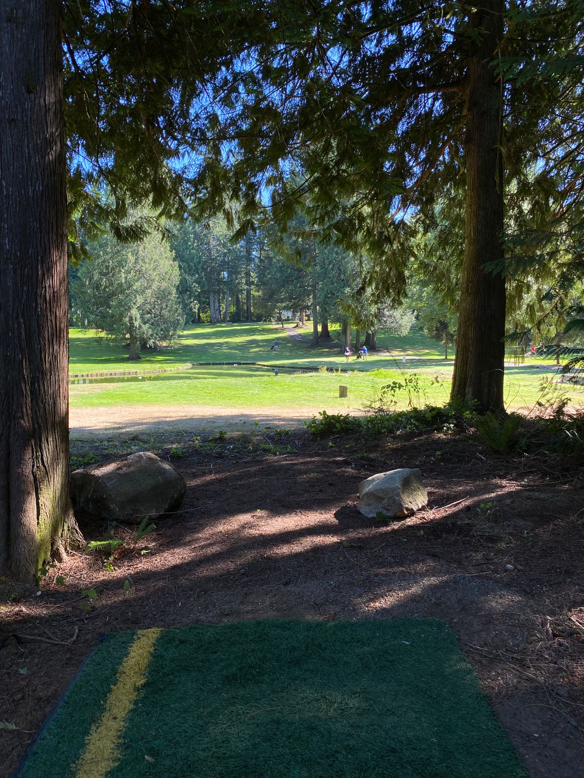 Hole 4 from the teepad. Don’t land in the water!