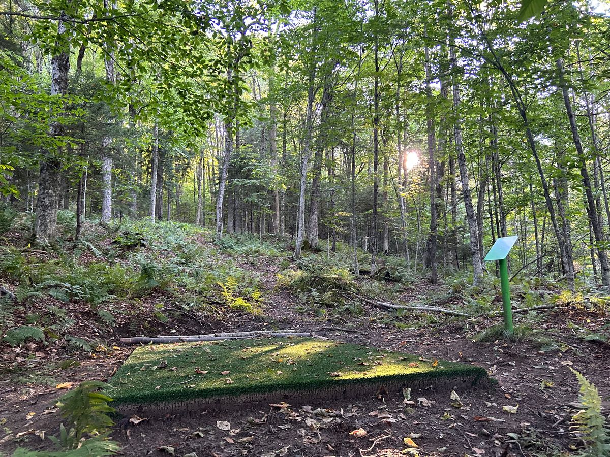 Hole 6 tee