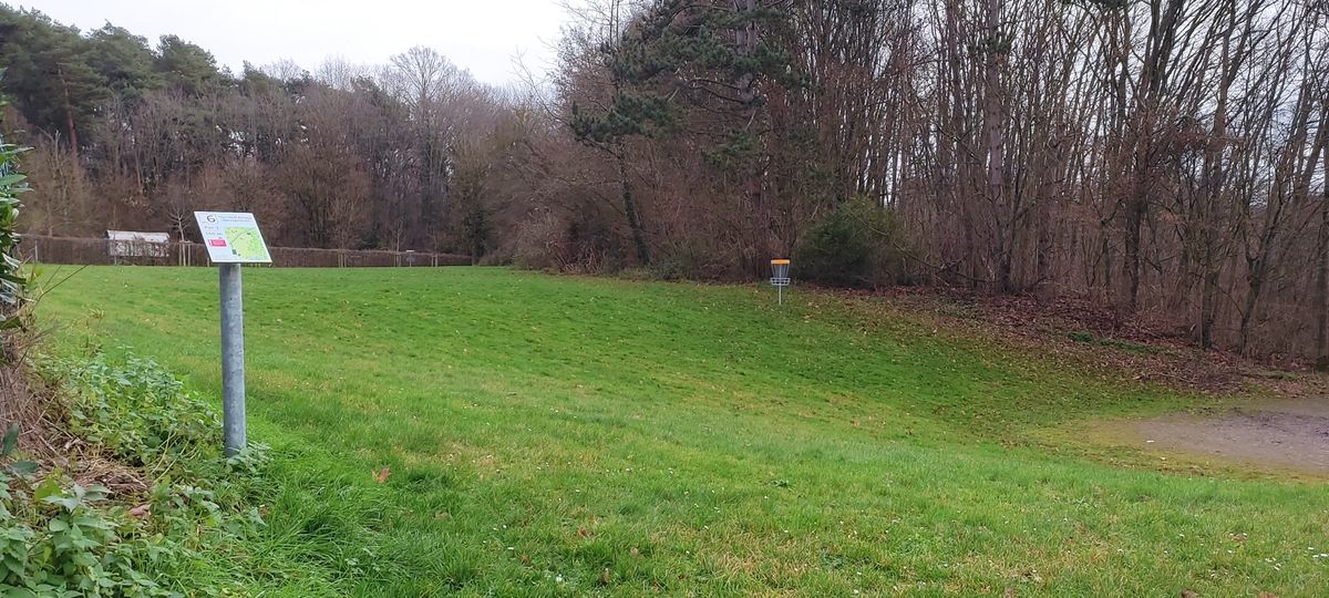 Abwurf 6, hinten Korb 6, rechts Korb 5