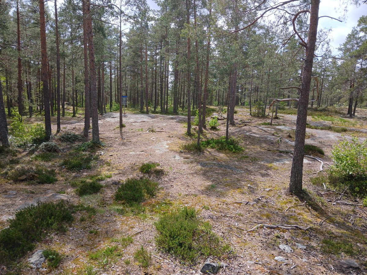 Väylä 6 fairway