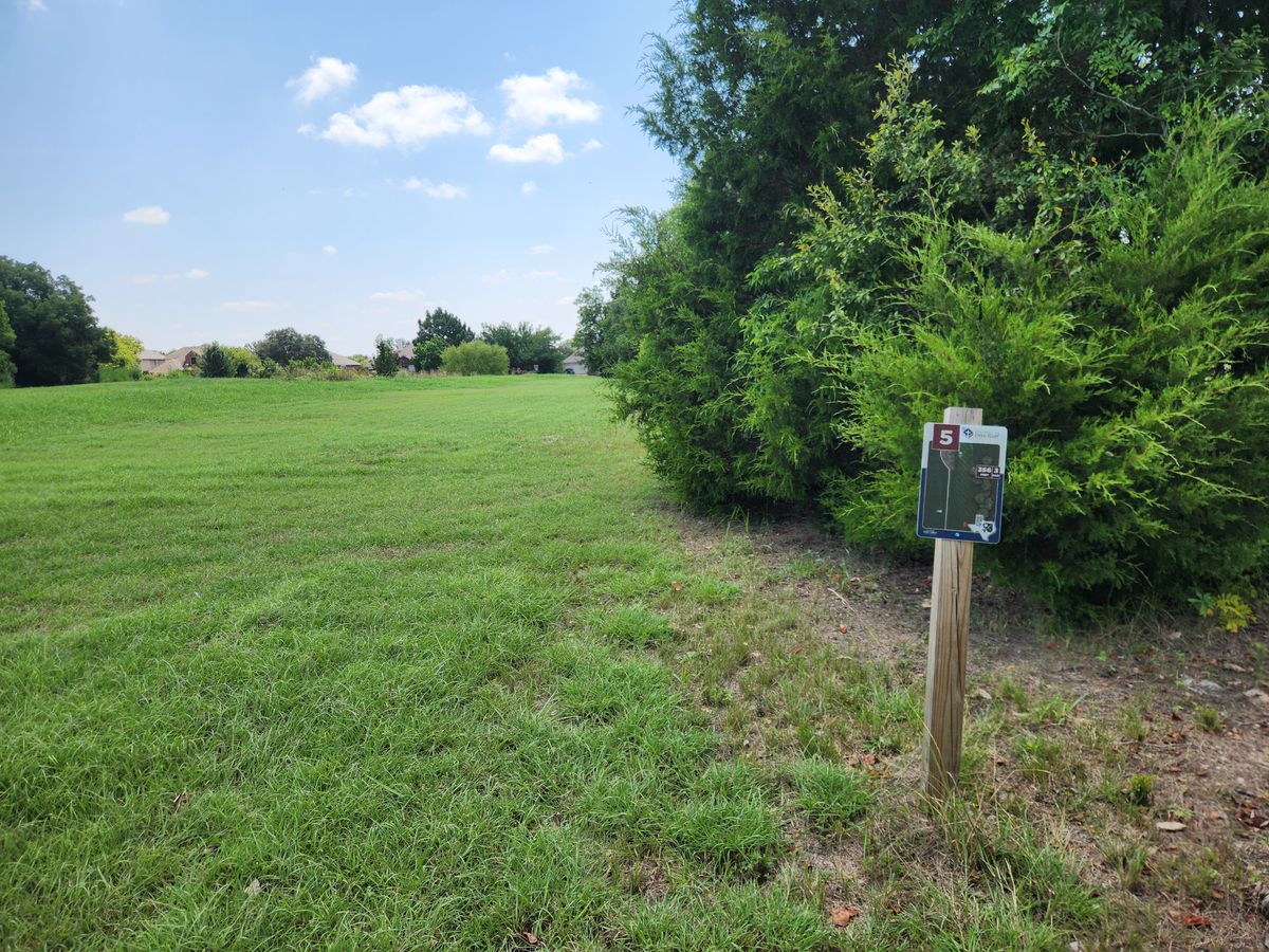Hole 5 tee