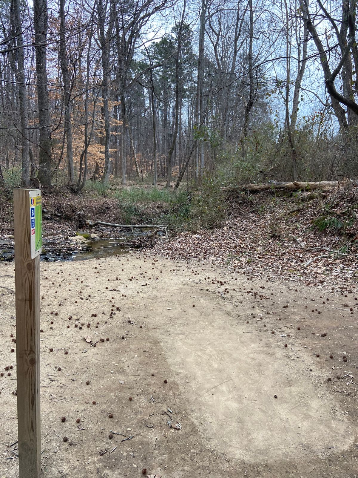 Hole 8 lane view