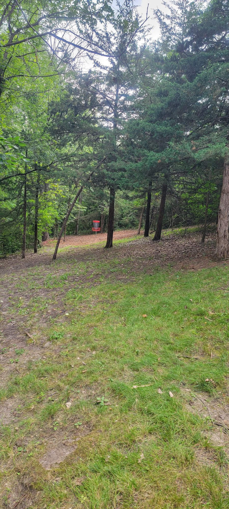 Hole 3's basket from the bottom of the fairway.