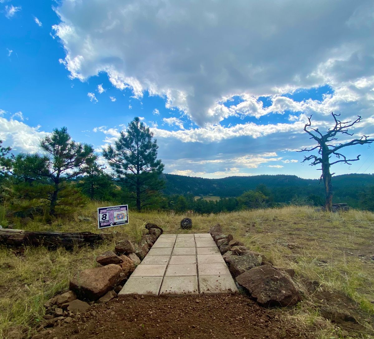 Hole 8 tee pad
