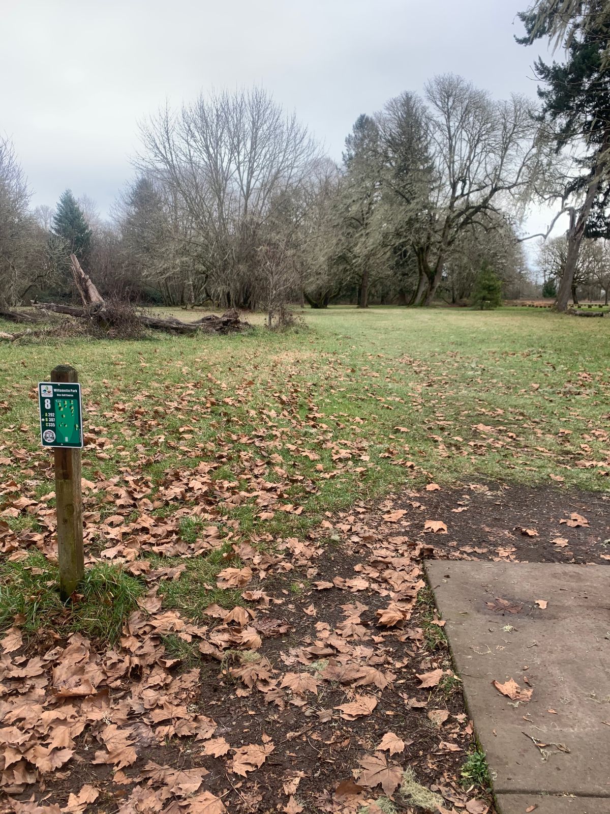 Hole 8