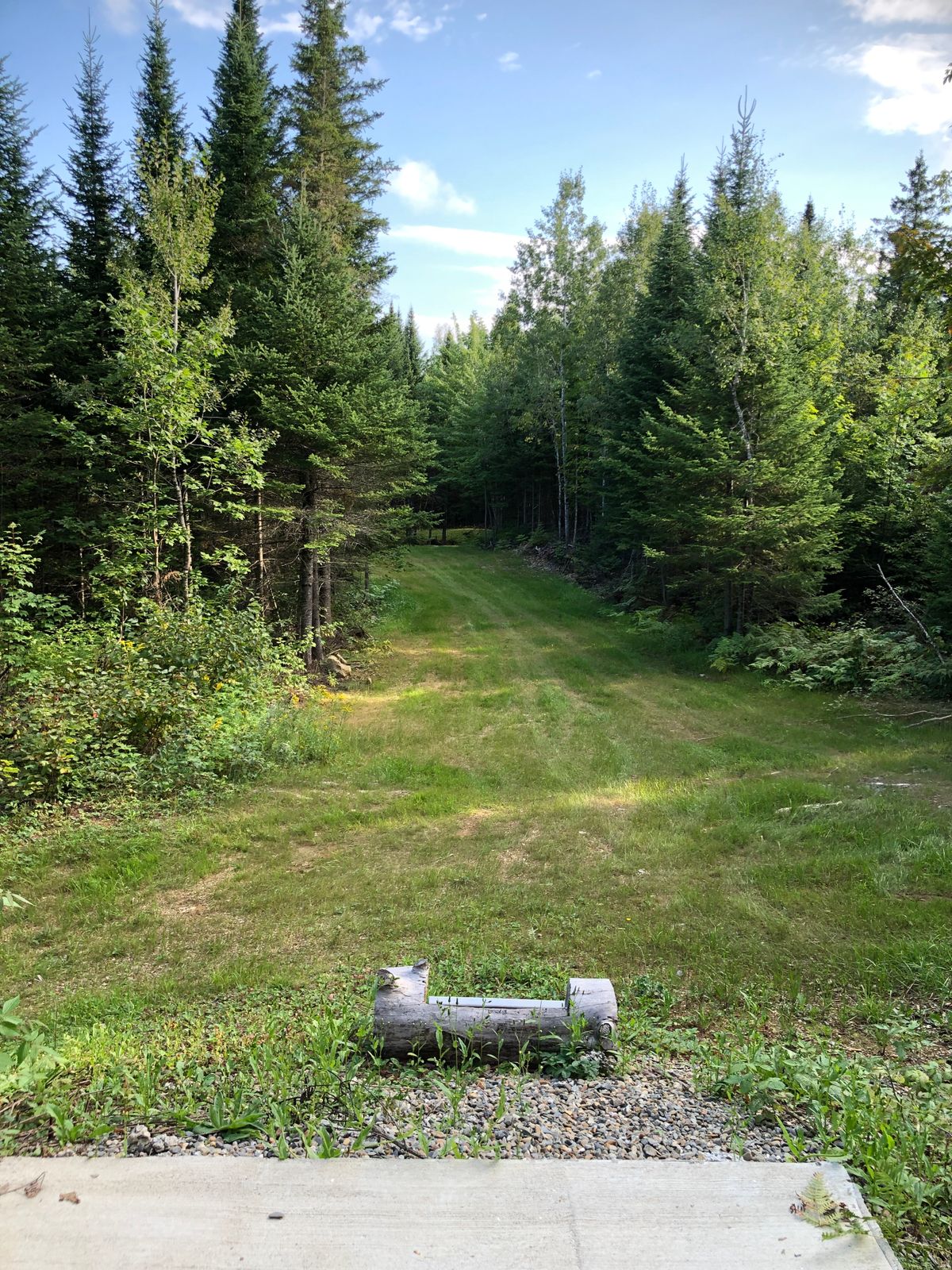 Basket 4 tee pad