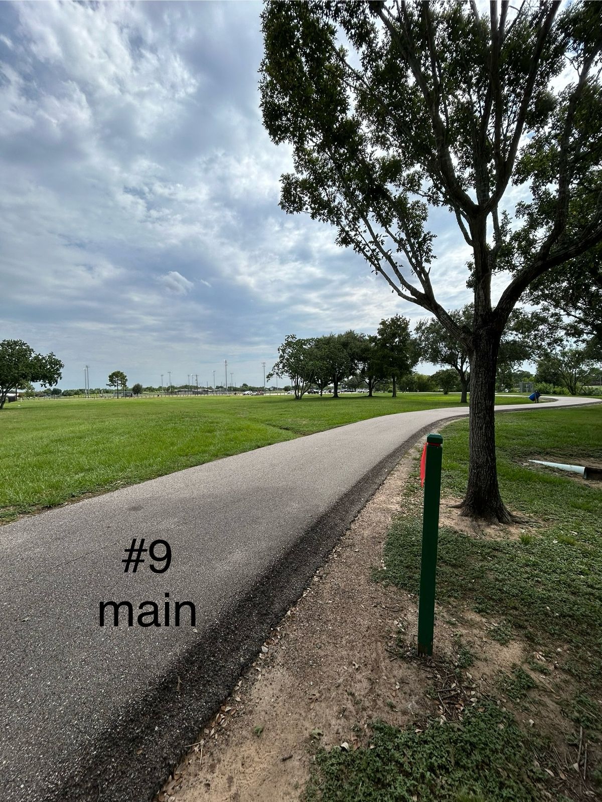9 main/amateur tee