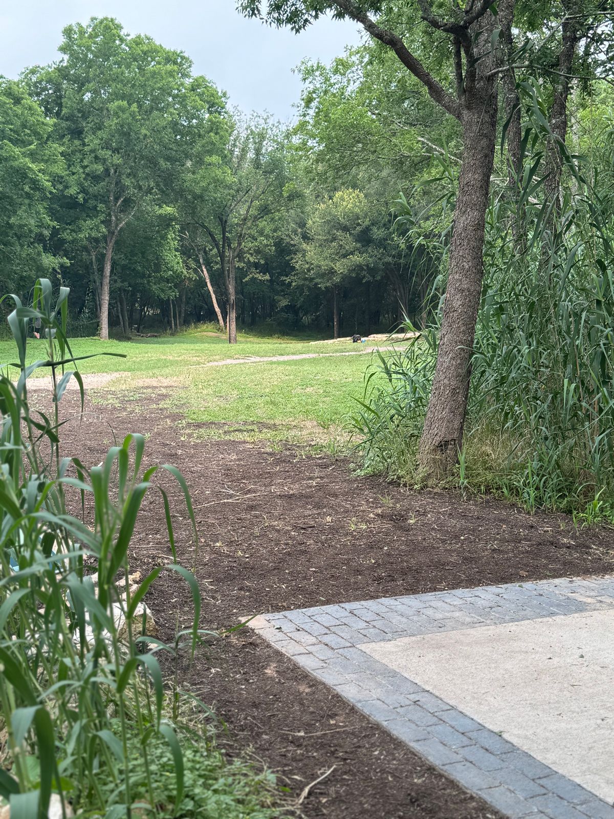 Hole 5 - 209’