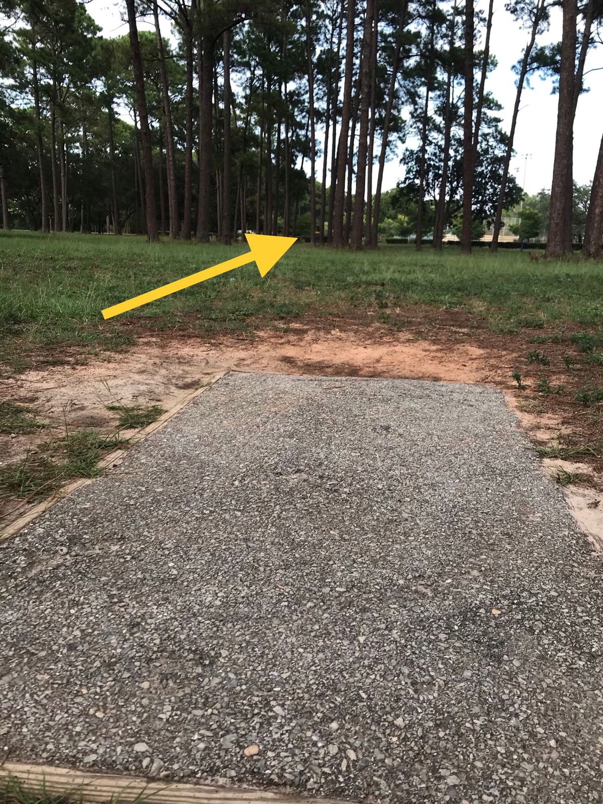 Amateur tee, 12th hole