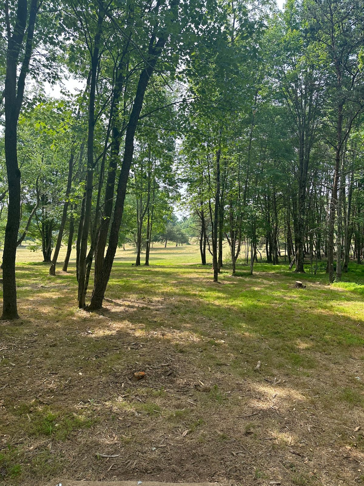 #13 long tee