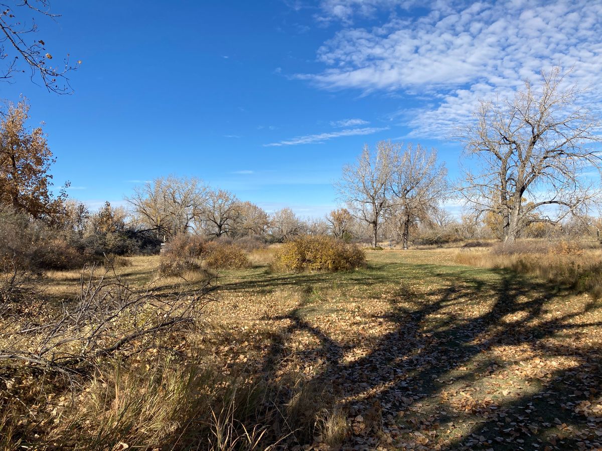 Hole 1 fairway.  White basket on the left, blue basket further back between two trees.