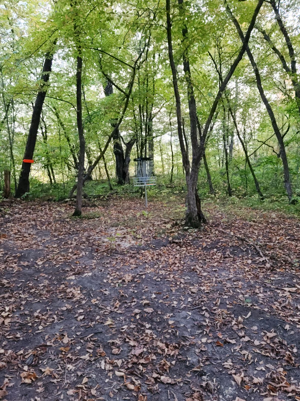 #14 approach
