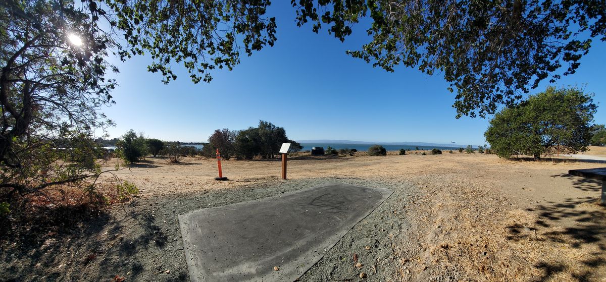 9 Blue Tee pad