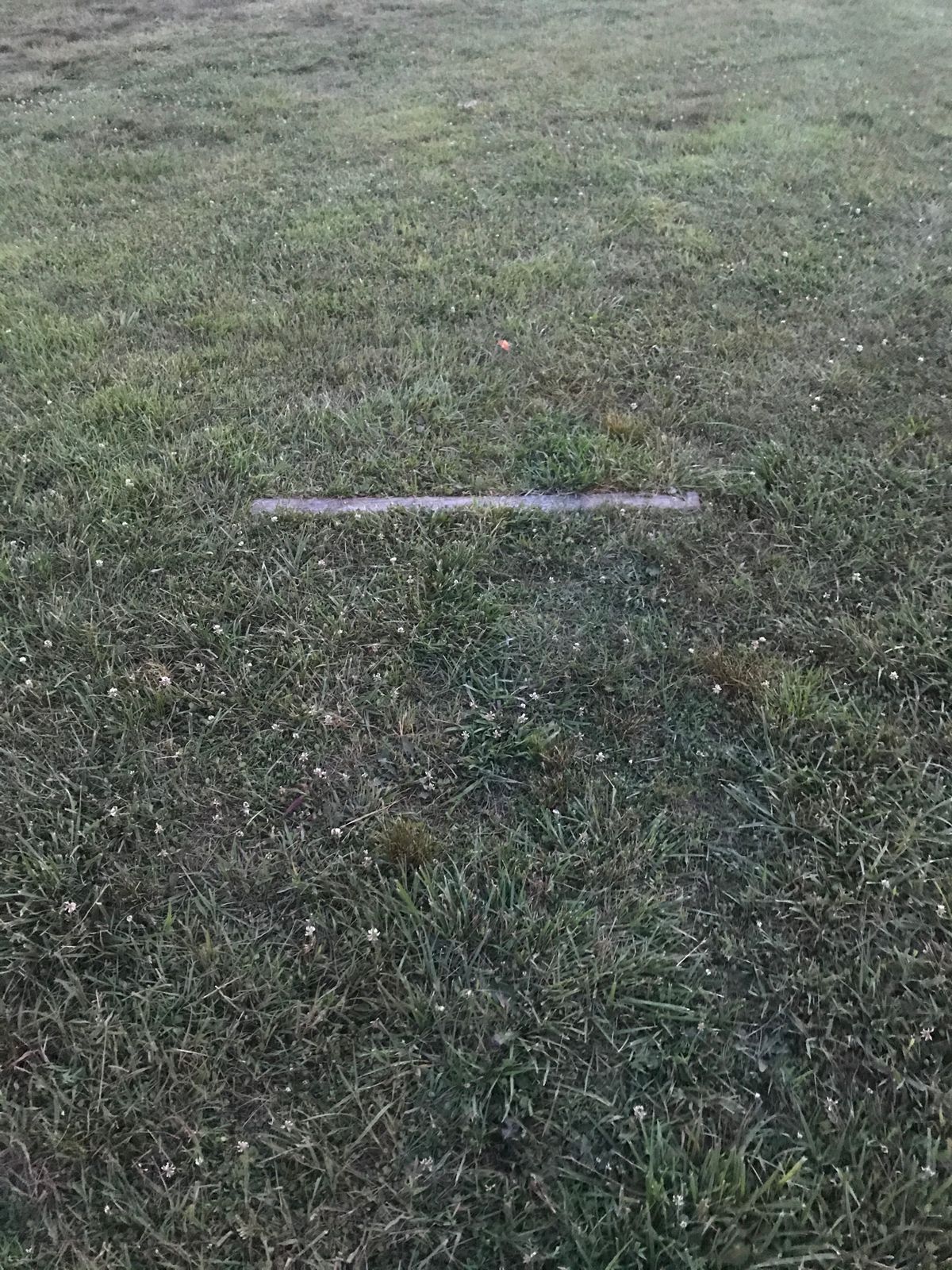 Wooden stopping lines for tee off pads (hole 6 pad pictured)