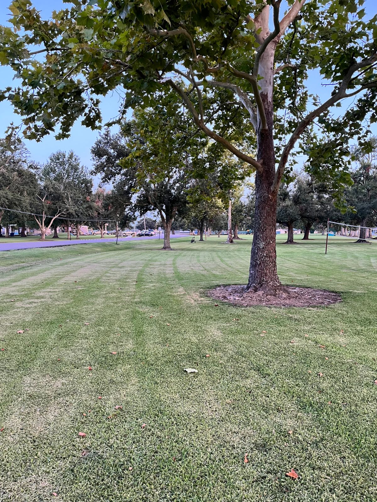 Hole 5 Tee (cart represents target)