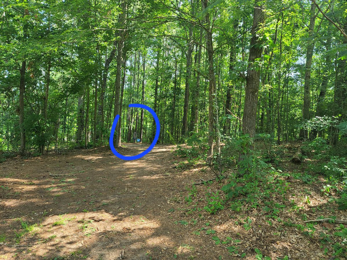 Hole 4. Tee shot makes a sharp right that leads into a narrow ally of trees. Basket is circled.