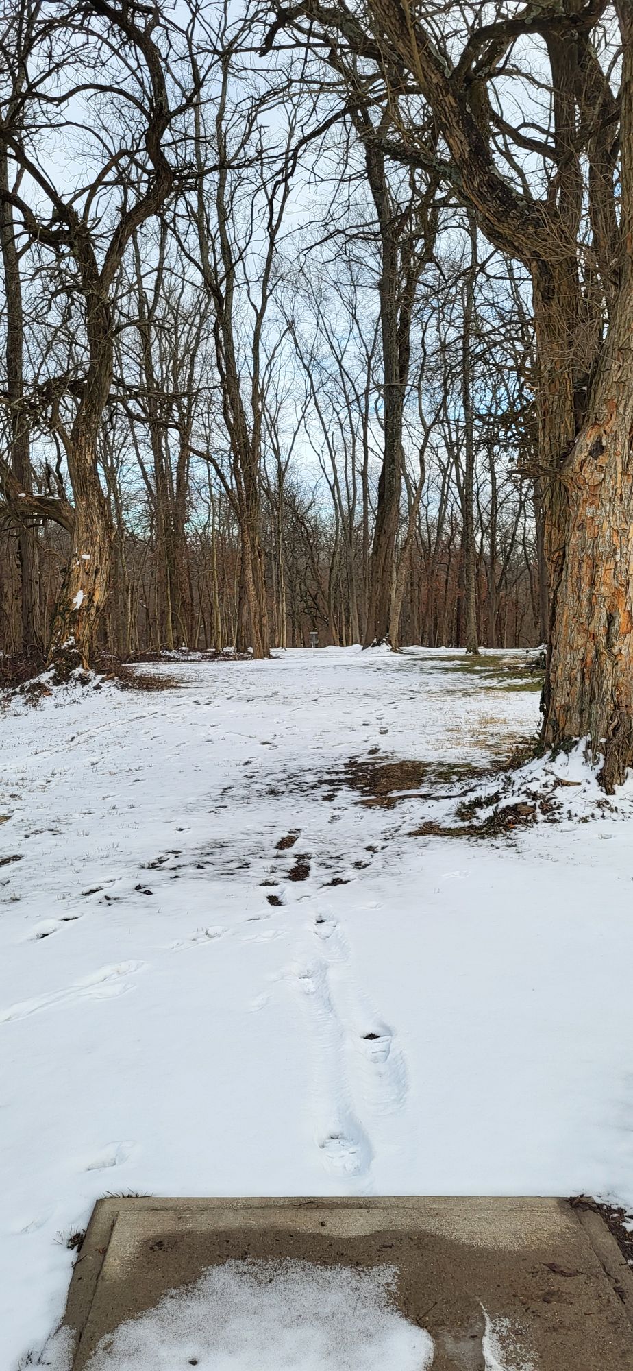This treacherous snowy fairway on 2 will gobble up your white disc's with ease. Remember to always bring a towel🫠