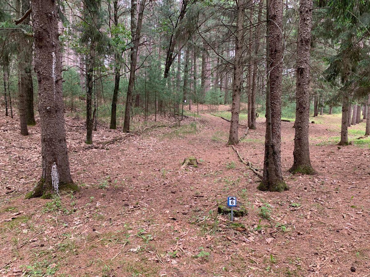 Pathway to hole 6