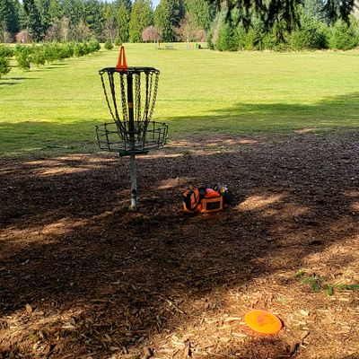 Woodland Creek #1 Long Pin looking towards tee
