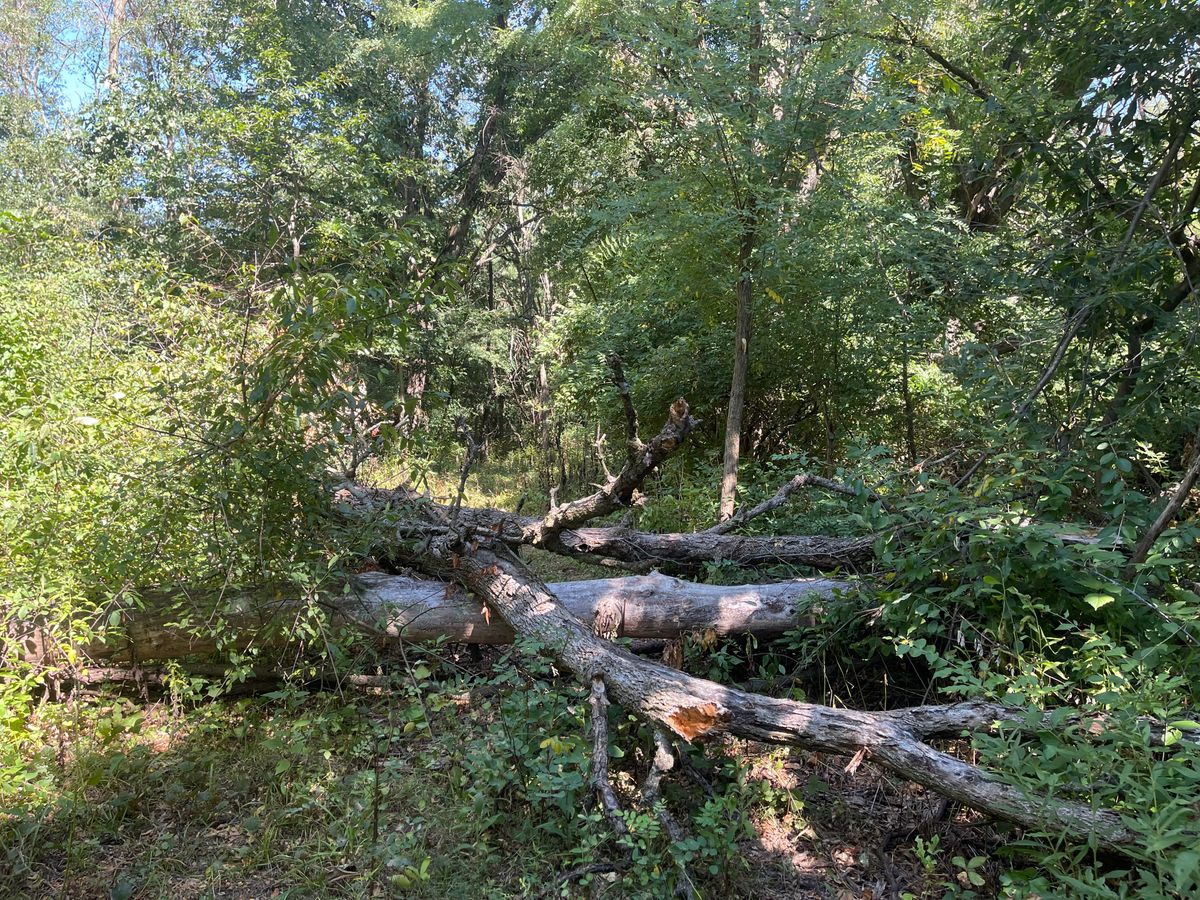Hole 6