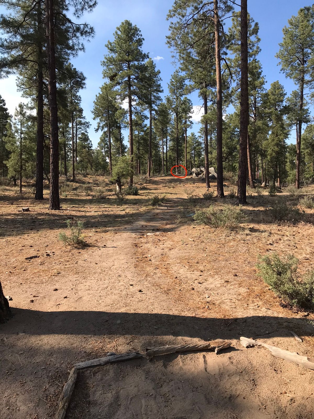 Tee 16