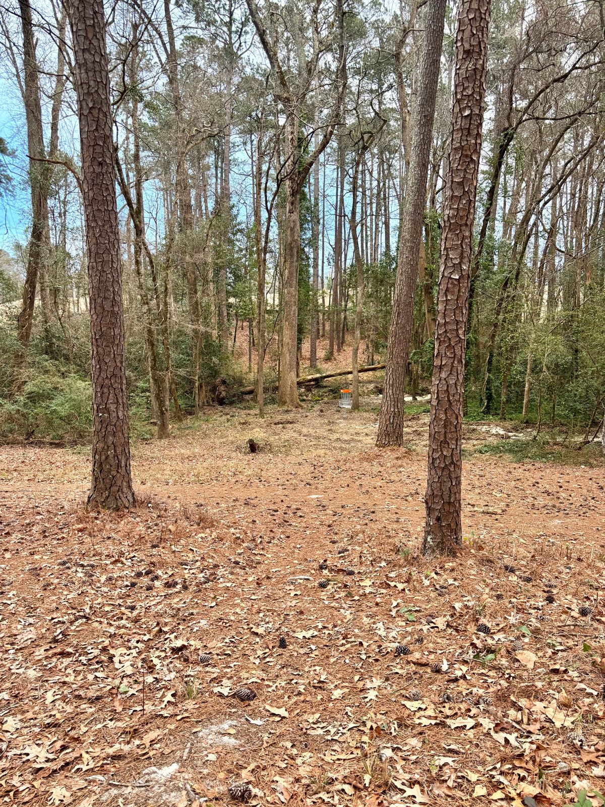 Hole 11 Approach