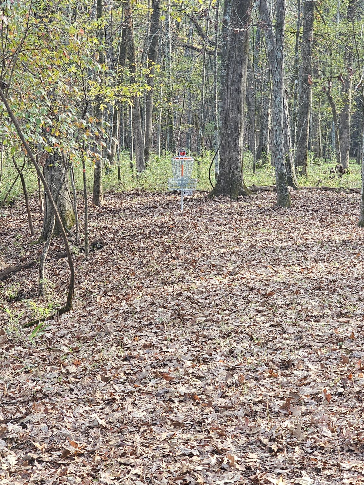 Hole 10