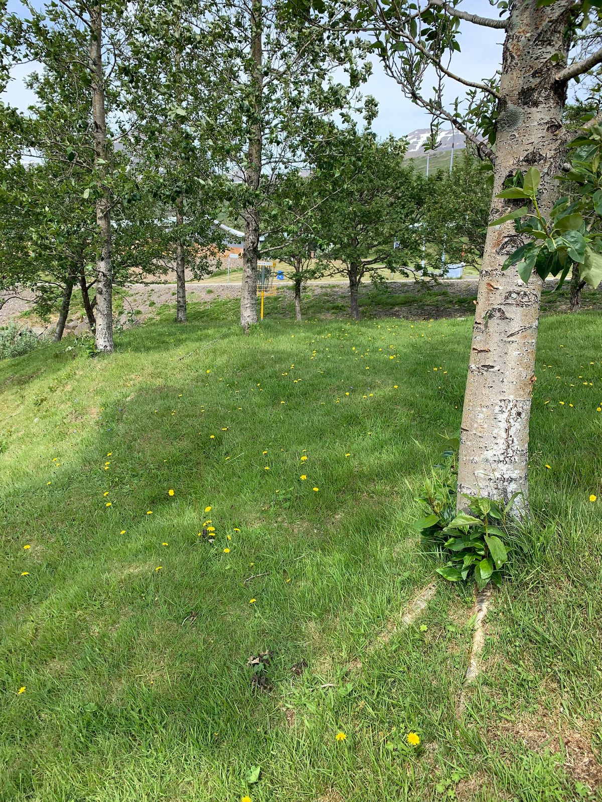 Hole 6