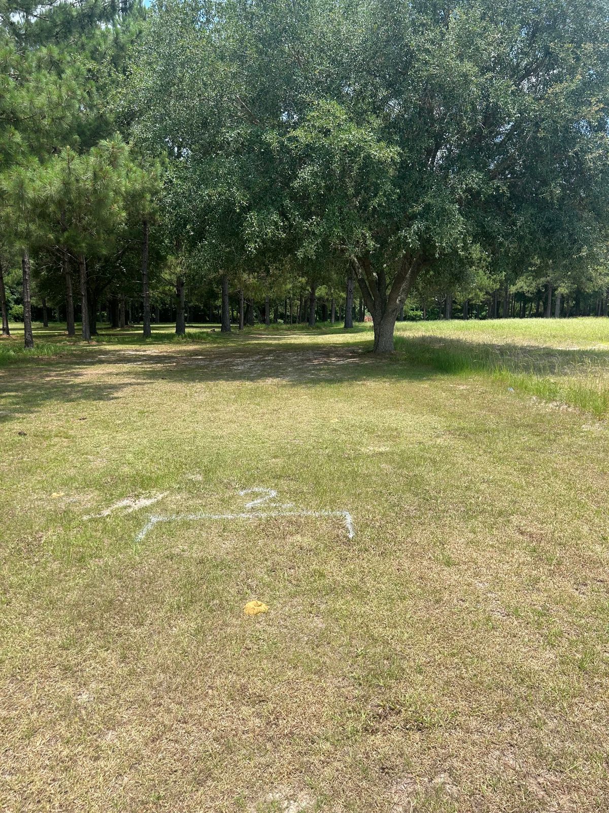 Hole 2 tee pad