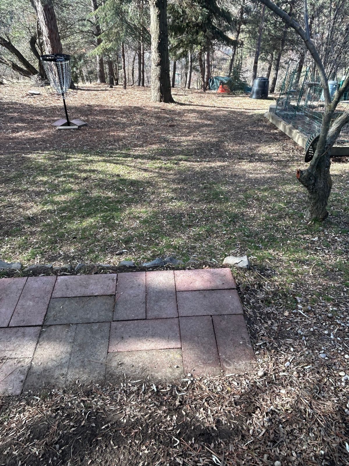 Hole #11. 107’ downhill. Careful of rollers on the slope!