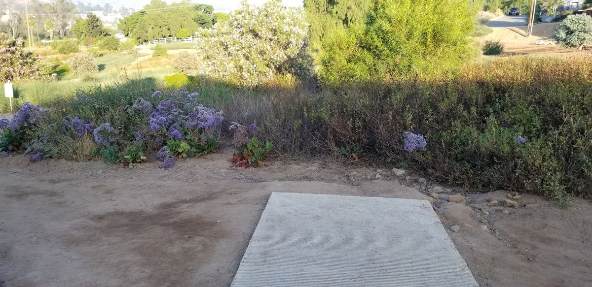 4b tee pad