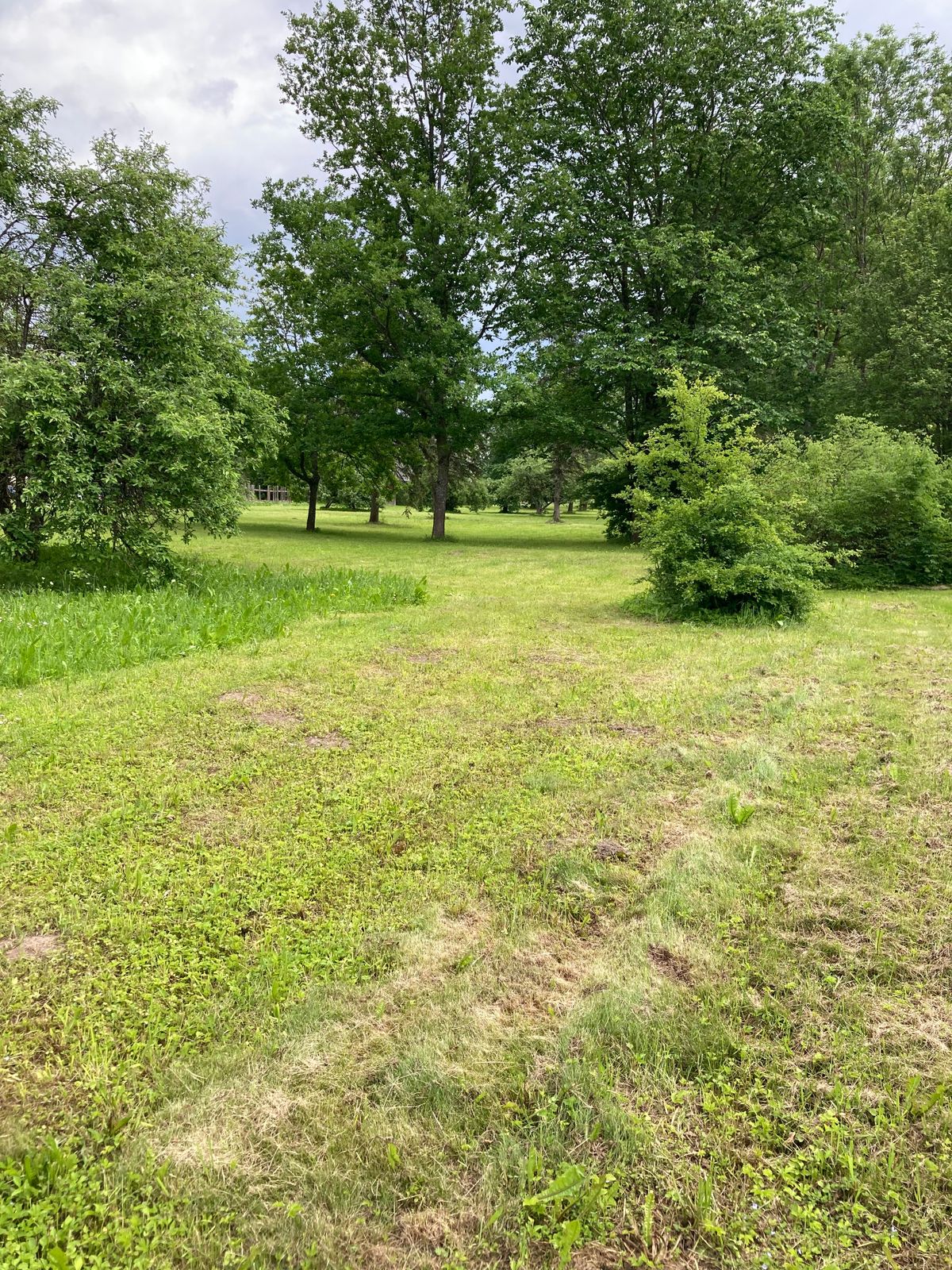 Tee 1