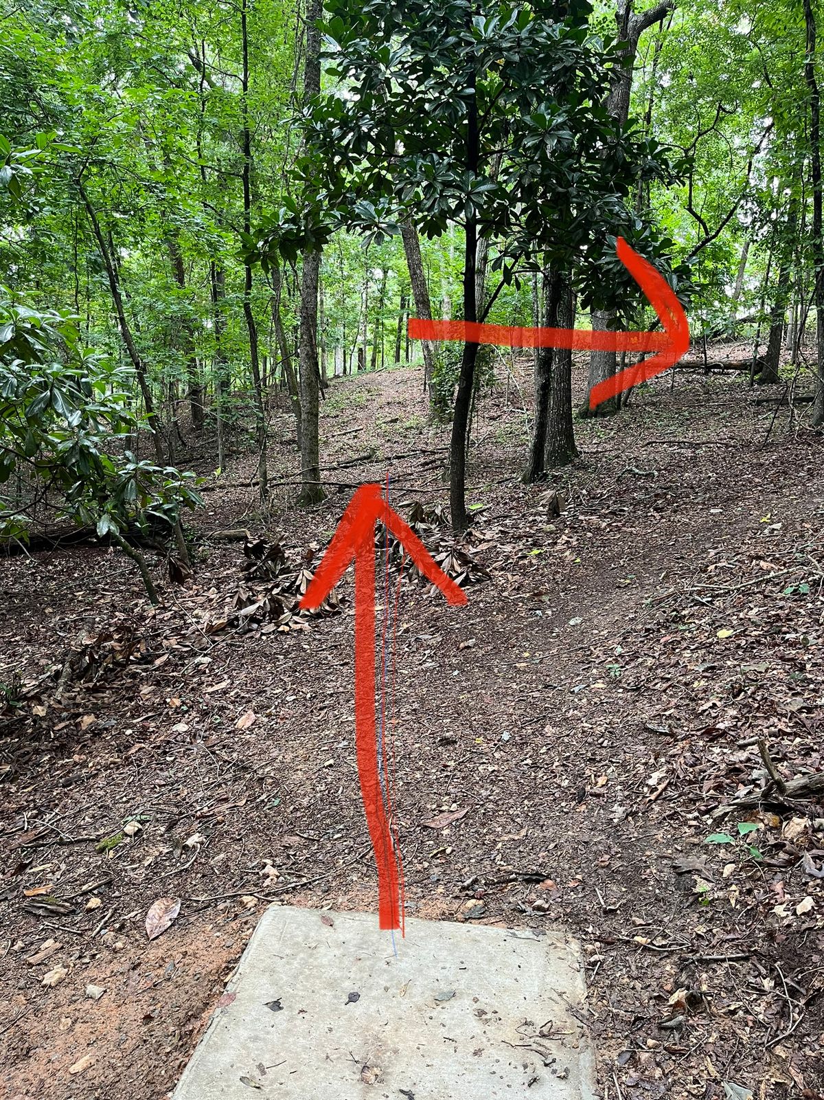 Description of line to follow on 17
