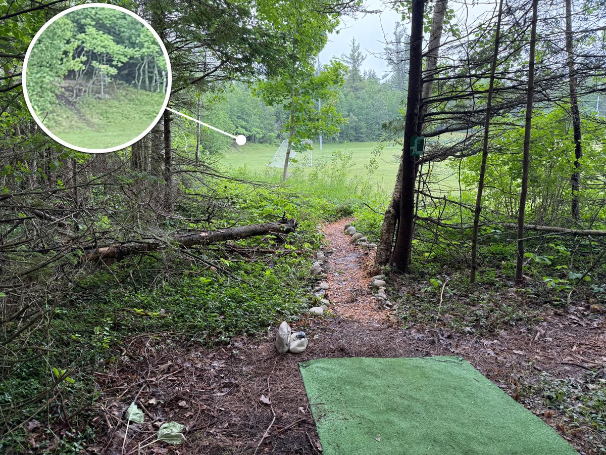Hole 5 - mandatory left of tree off the tee. Straightforward, yet tricky. Basket on hill