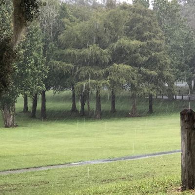 Fairway on Hole #8