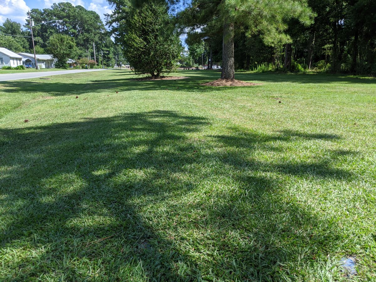 Hole 6 Tee Pad