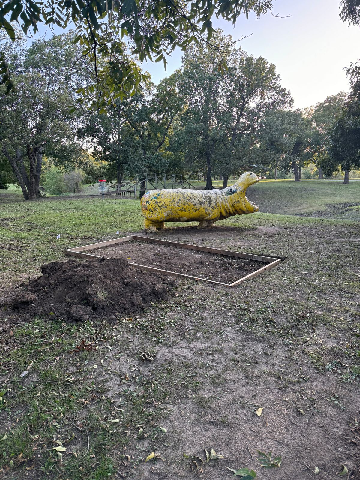 We are gonna love the hippo hole