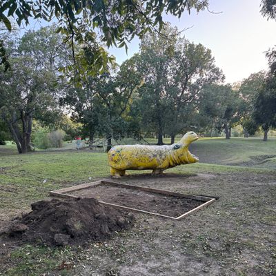 We are gonna love the hippo hole