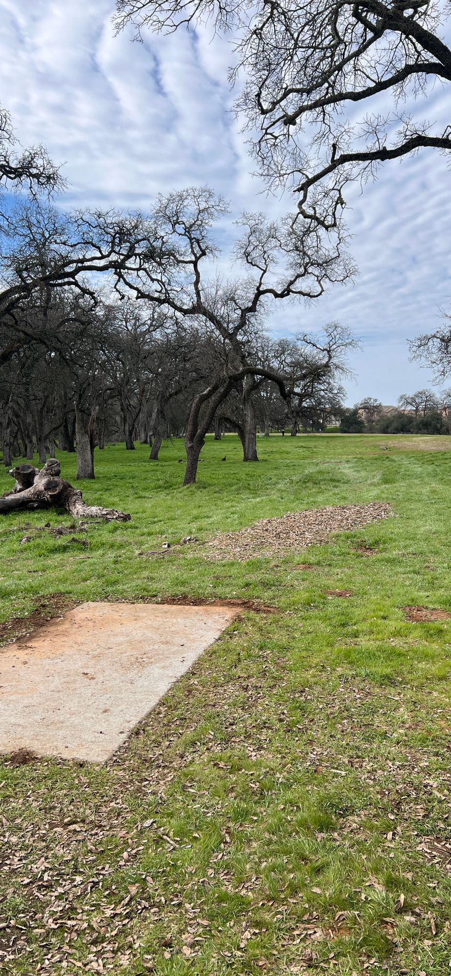 Hole 14