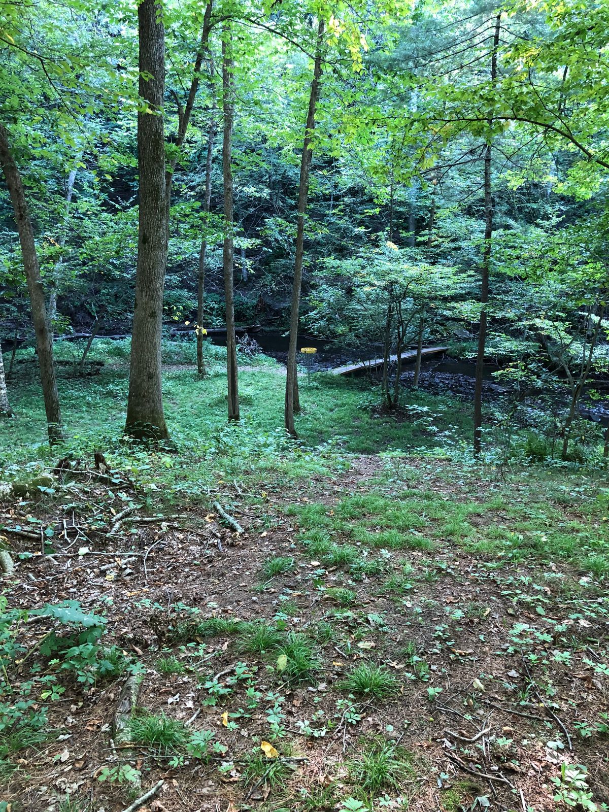 Hole 5 Approach