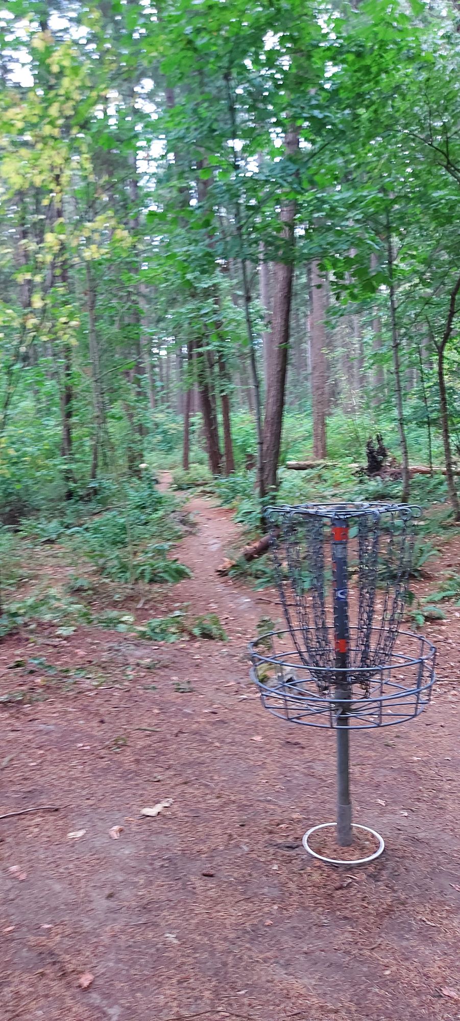 Reverse back up the fairway on hole 4.🪵🌿🪵🌳