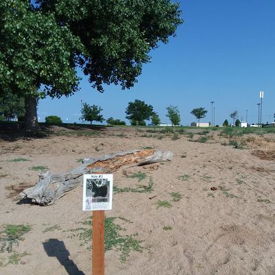 Hole 3 tee