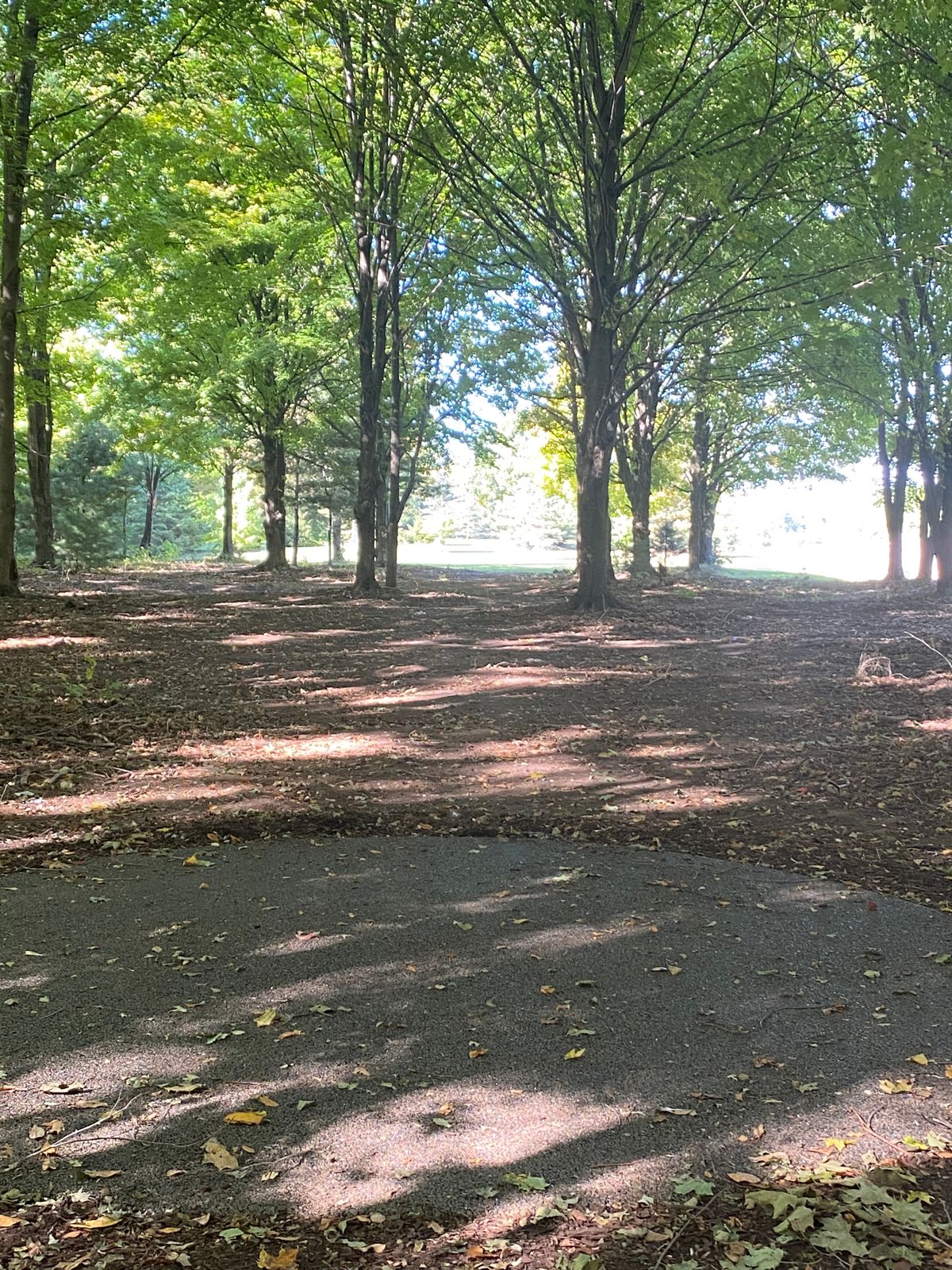 Lines ready for throwing