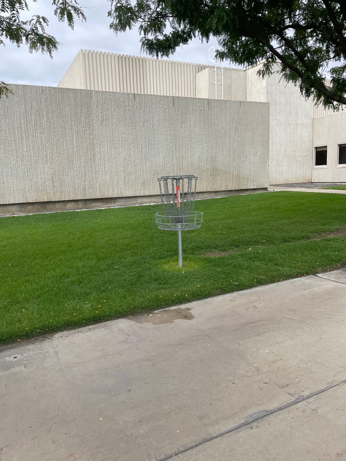 Hole 5 Basket