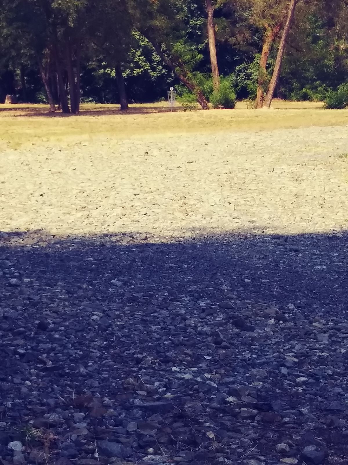 Hole 7