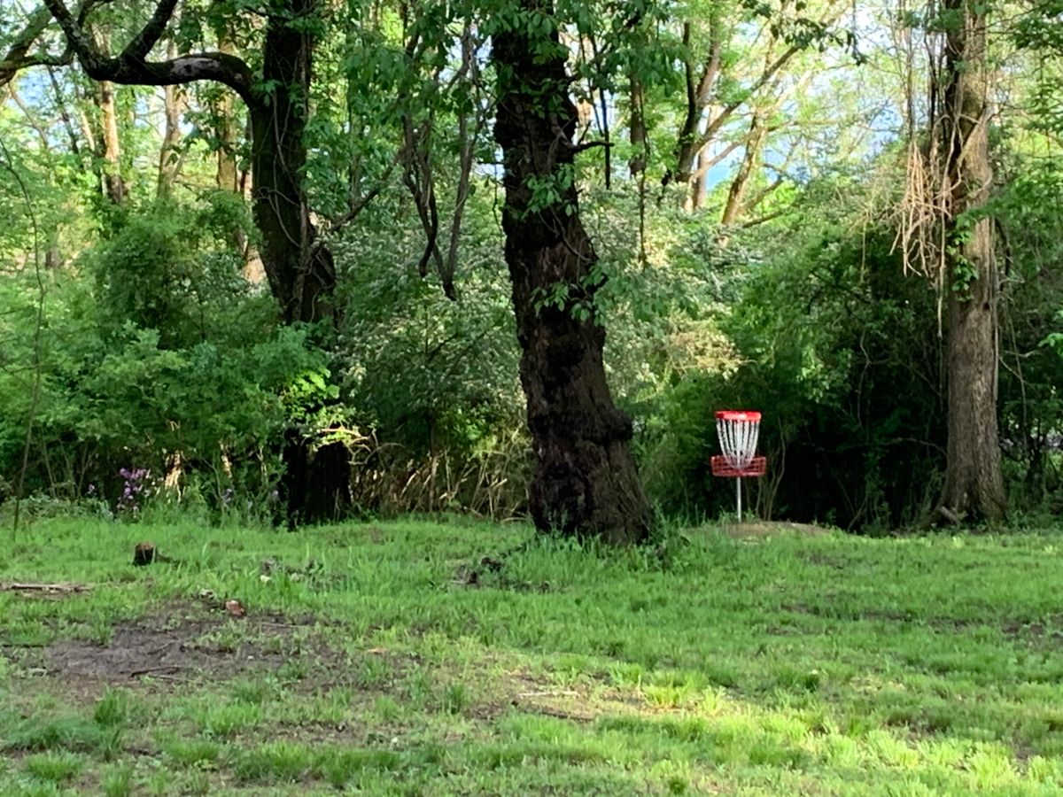 Hole 8 (for now) Long basket green
